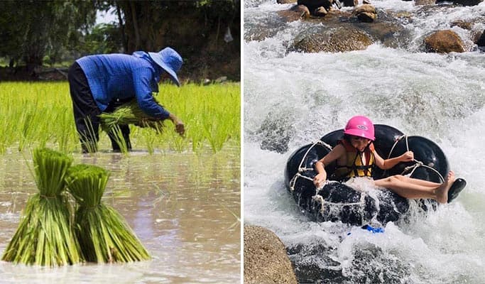 Phang Nga Rice Field Farming Experience & Tubing 1 Day Tour (+Lunch/Transfer) - from Phuket/Khao Lak - main view