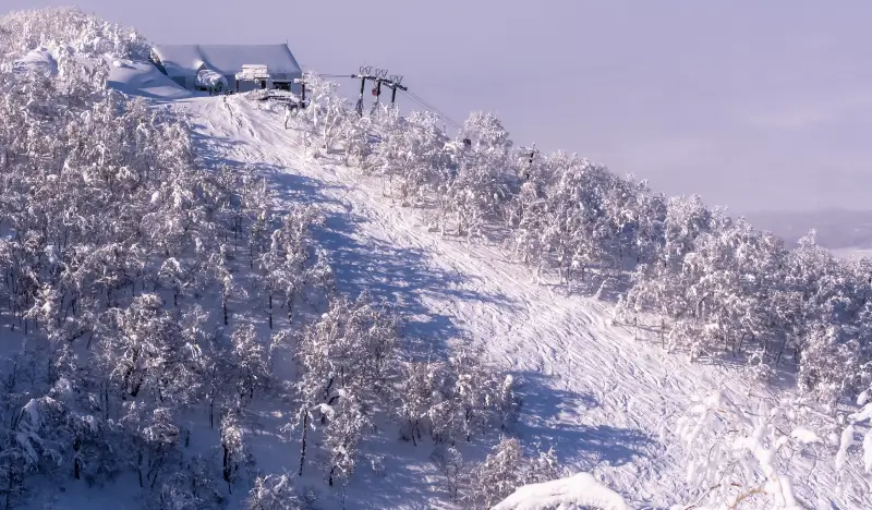 Hokkaido Resort Liner: Noboribetsu ↔ Rusutsu & NIseko Ski Resort Shuttle Bus Ticket (Dec 23~Feb 28) - main view