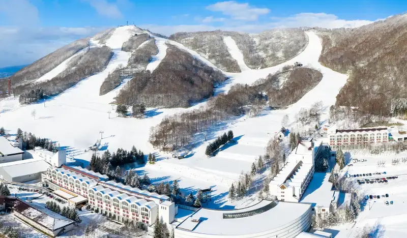 Hokkaido Resort Liner: New Chitose Airport ↔ Rusutsu Ski Resort Shuttle Bus Ticket (Dec 2~Mar 30) - main view