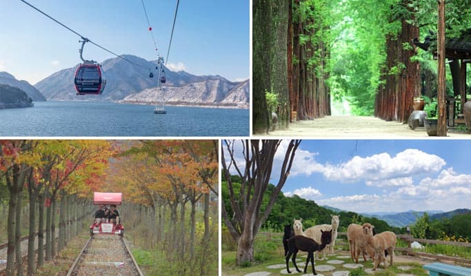 Nami Island + Alpaca World + Samaksan Cable Car Tour (+ Rail Bike option) - main view