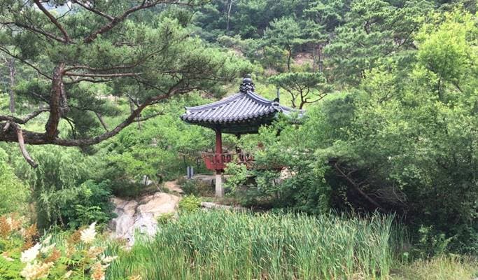 Seoul by Foot: Walking Tour in Seochon Village - Artistic Village of Past & Present - main view
