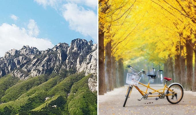 Seoraksan National Park & Nami Island 1 Day Tour - main view