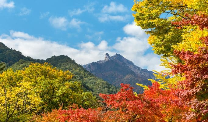 Seoraksan National Park Hiking Tour (Private/Join-in) - main view