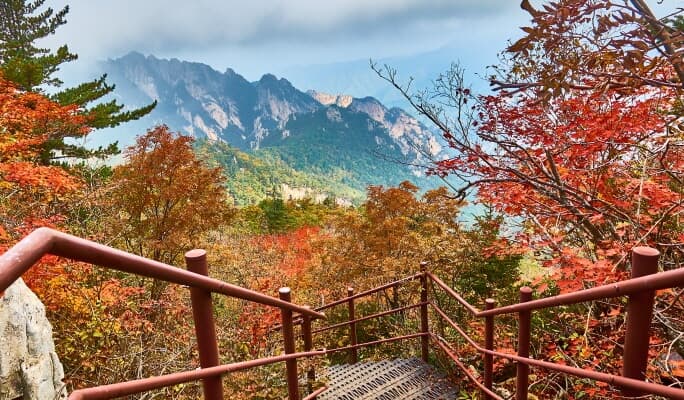 Seoraksan National Park & Gangwon 2D1N Private Tour from Seoul - main view