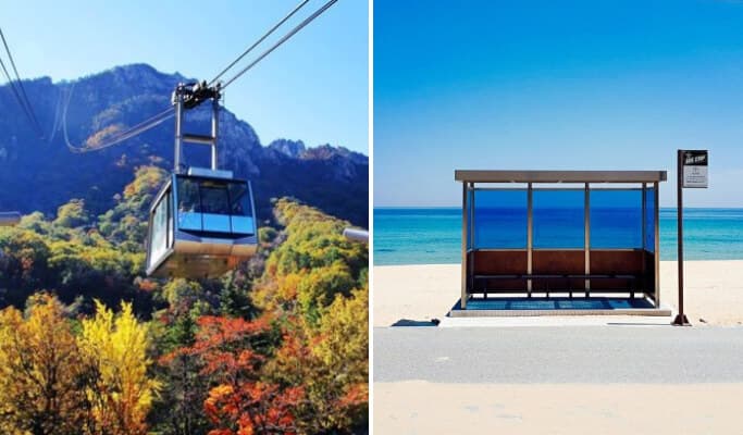 [Glocal] Fall Foliage Special: Seoraksan & East Sea Tour From Seoul (~Oct 31) - main view