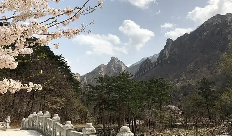 Seoraksan National Park & Naksansa Temple 1 Day Tour - main view
