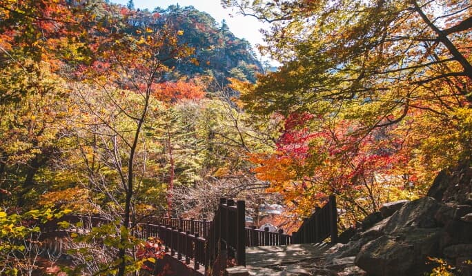 Seoraksan National Park Private Tour (+ Nami Island / Naksansa Temple / Daegwallyeong Sheep Farm / Sokcho Tourist & Fishery Market) - main view