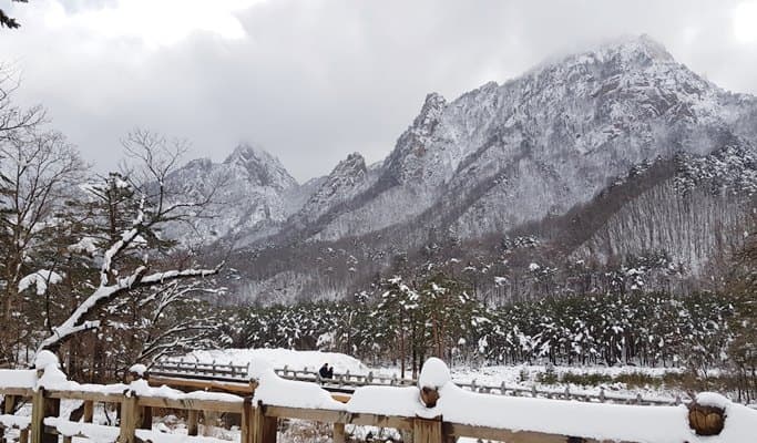 南怡島＆雪嶽山之旅（+ 晨靜樹木園/鐵路自行車選項） - main view