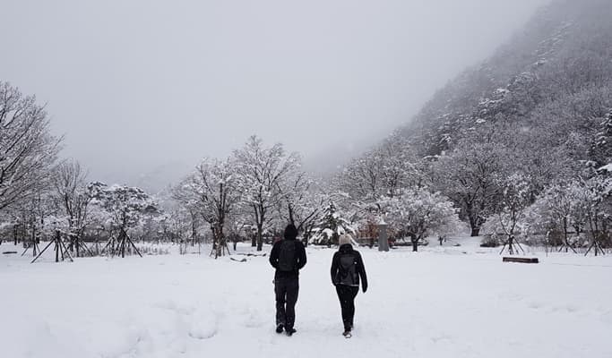 雪嶽山國立公園健行旅行（私人/團體） - main view