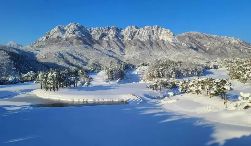 Seoraksan National Park & Nami Island 1 Day Tour - main view