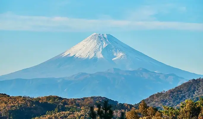 [Winter Special] Shuzenji Village and Mt. Fuji View 1 Day Tour from Tokyo (Nov 3~Dec 29) - main view
