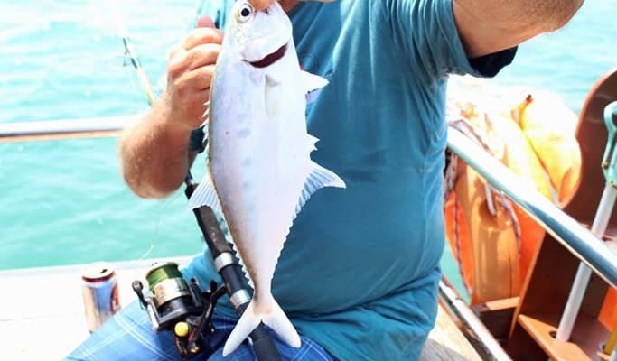 Hua Hin Boat Tour: Siam Sea Cret Fishing Tour (Day/Night) - main view