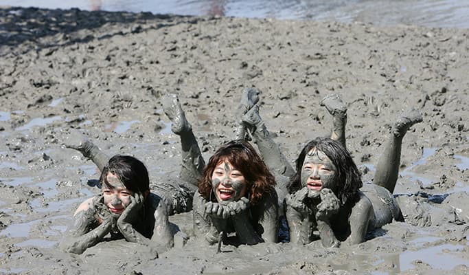 [UNESCO World Heritage] Sinan Getbol (Tidal Flat) Tour from Daegu - main view