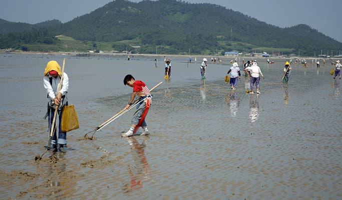 [UNESCO World Heritage] Seoul-Mokpo-Sinan Getbol (Tidal Flat) 5D4N Tour - main view