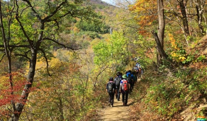 Gyeongbuk Mt. Sobaeksan Hiking Private Tour (Gukmangbong Peak Course) - main view