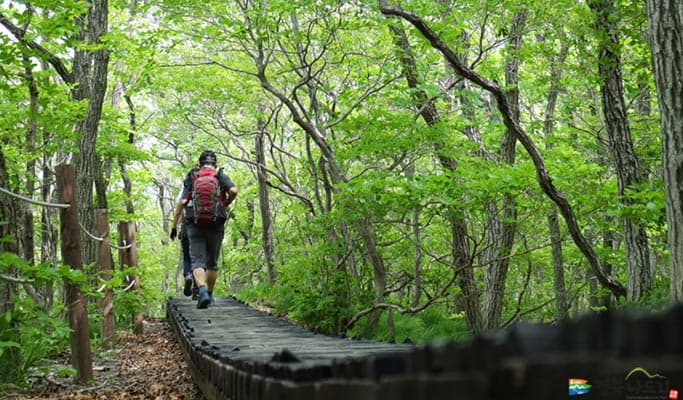 Gyeongbuk Mt. Sobaeksan Hiking Private Tour (Yeonghwabong Peak Course) - main view