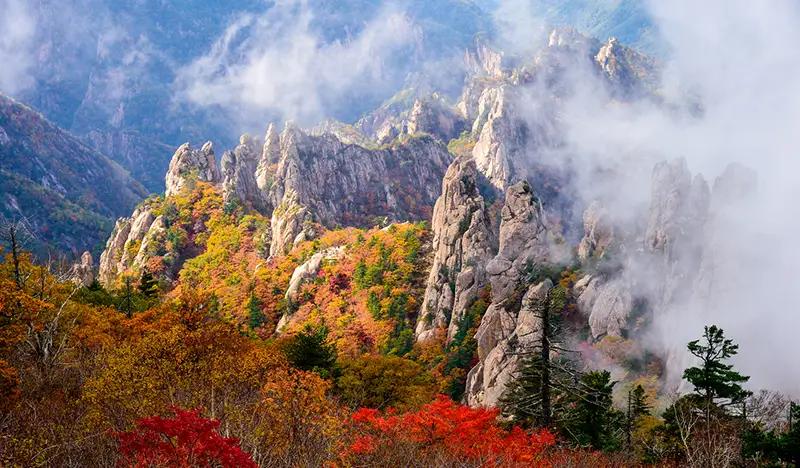 [Fall Special] Seoraksan/ Naejangsan/ Jangtaesan/ Daedunsan 1 Day Tour - from Seoul (Oct 12~Nov 27) - main view