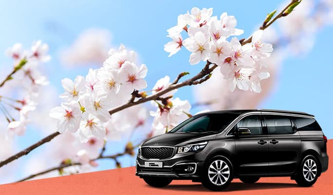 Spring Special: Spring Flower Destinations 1 Day Private Tour - from Seoul (Mar 20~Apr 13) - main view