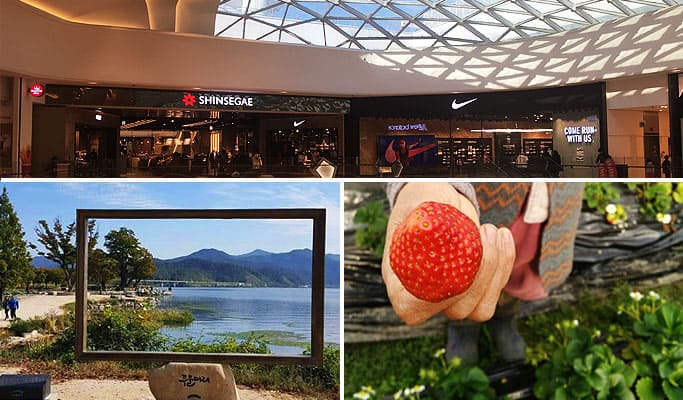 Strawberry Picking + Dumulmeori + Starfield Hanam/Lotte World 1 Day Tour - main view