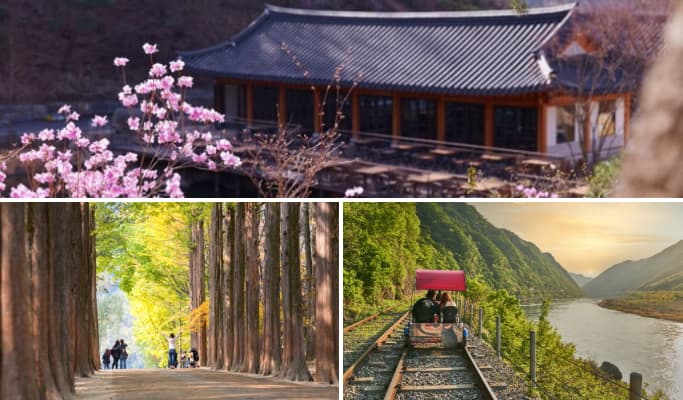 Hwadam Botanic Garden & Nami Island Tour - main view