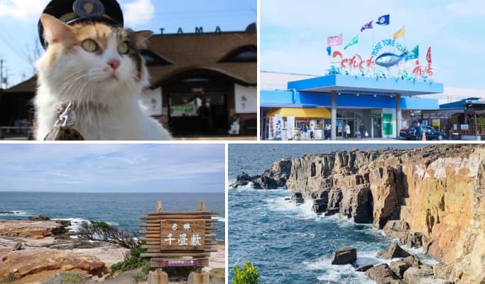 Wakayama Kishi Station & Toretore Market & Senjojiki & Sandanbeki 1 Day Tour from Osaka - main view