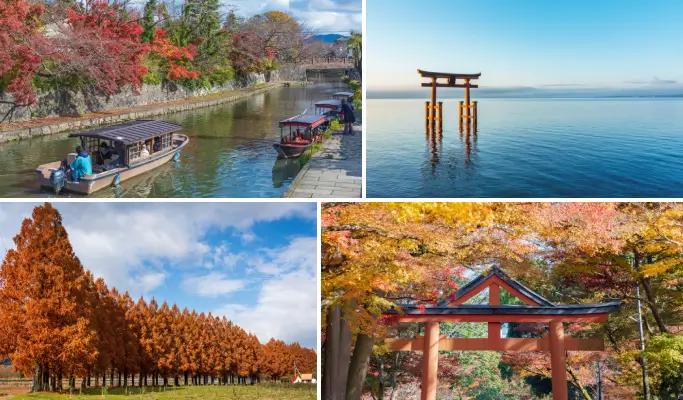 [Fall Special] Shiga 1 Day Tour: Hachiman-bori, Hiyoshi Taisha & Metasequoia Avenue (Nov 9~Dec 13) - from Osaka - main view