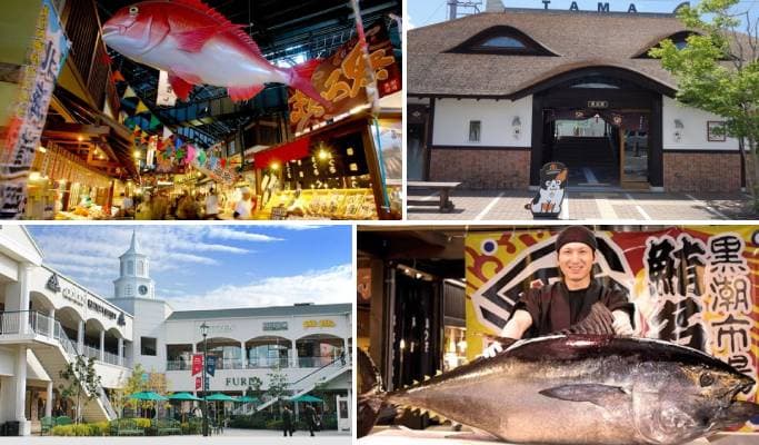 Wakayama Kishi Station & Kuroshio Market & Rinku Premium Outlet 1 Day Tour from Osaka - main view