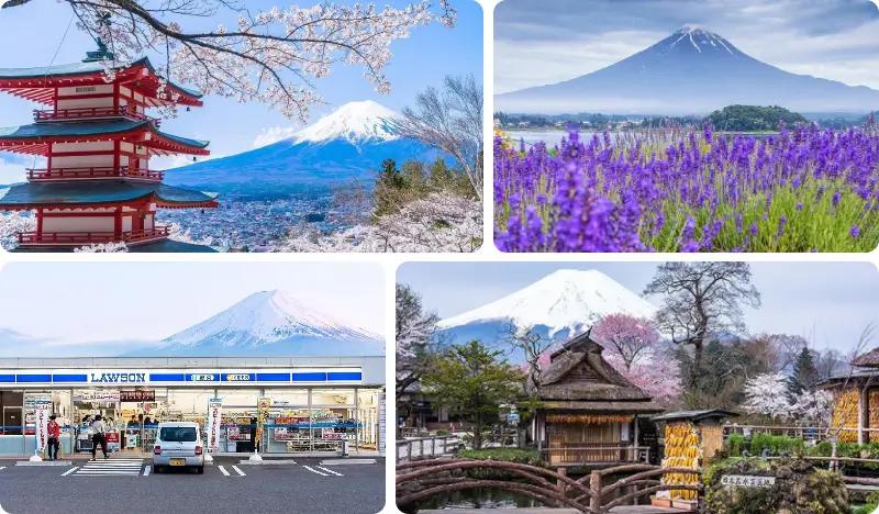 Mt.Fuji Top Scenic Spots 1 Day Tour from Tokyo - main view
