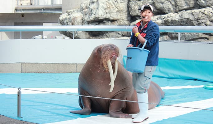 Umitamago Aquarium Admission Ticket - main view