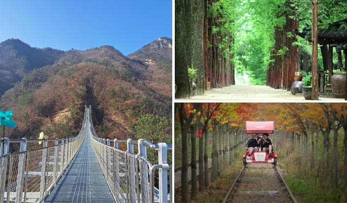 Nami Island & Unaksan Suspension Bridge Tour (+ Rail Bike option) - main view