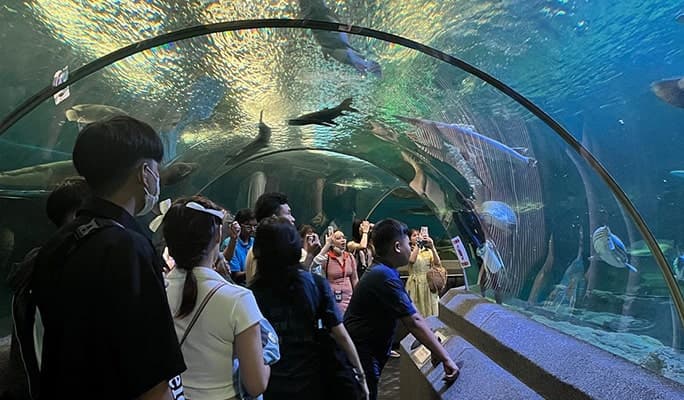 Underwater World Pattaya Discount Ticket - main view