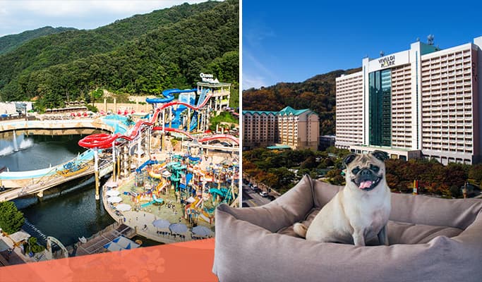 Vivaldi Park (Ocean World) Pet Room All Inclusive Summer Package: Room + Breakfast + Ocean World + Activities (+Private Transfer option) - main view