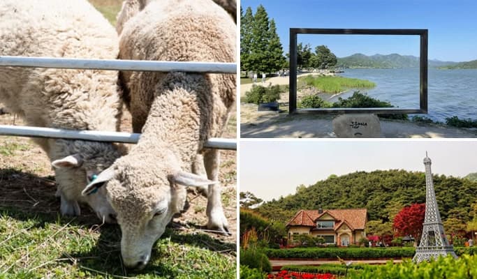 Yangpyeong Sheep Ranch + The Greem Botanical Garden + Dumulmeori 1 Day Tour - from Seoul - main view