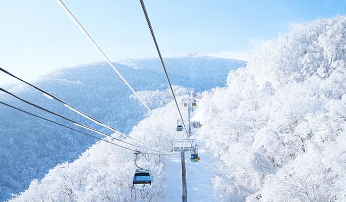 Yongpyong Ski Resort: 2025 Fun Ski/Snowboard Festival 4D3N Tour (Mar 8~11) - main view