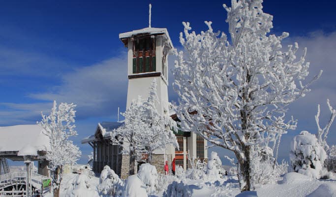 [Flash Sale] Yongpyong Ski Resort & Balwangsan Cable Car Package (Dec 23~Jan 4) - main view
