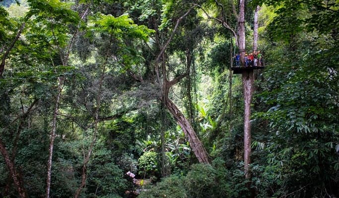 Flight of the Gibbon - 2D1N Zipline Adventure from Chiang Mai (+Segway Tour/Mountain Biking) - main view
