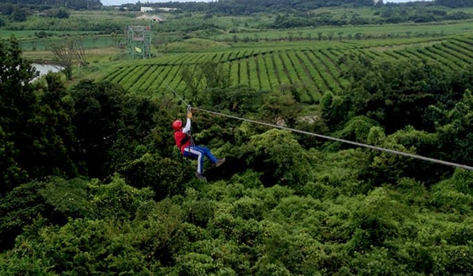 濟州 LAFLY Zipline（高空飛索） 門票 - main view