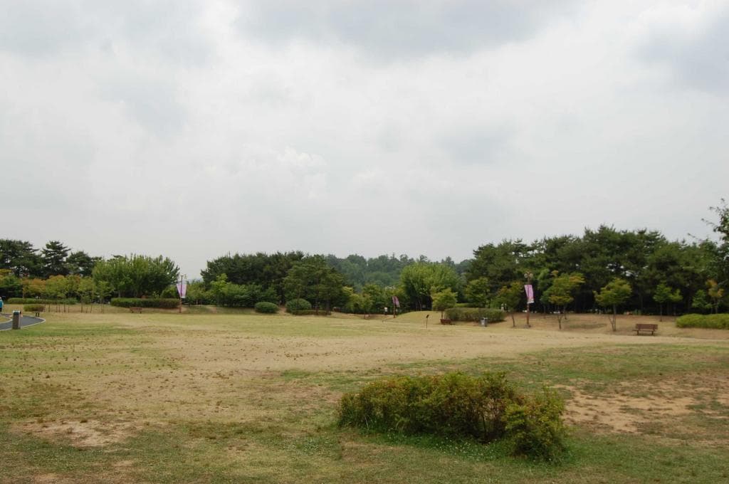 Montmartre park 몽마르트 공원