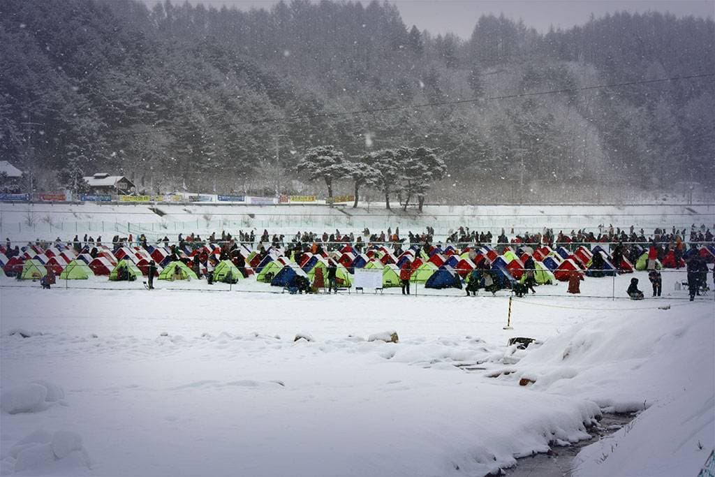 Pyeongchang Trout Festival 평창 송어 축제