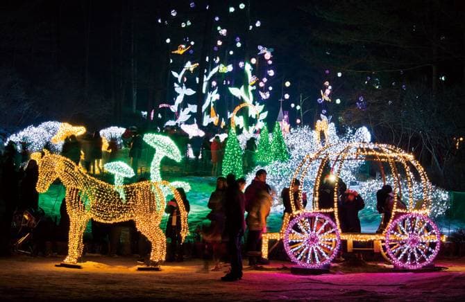 The Garden of Morning Calm 아침고요수목원