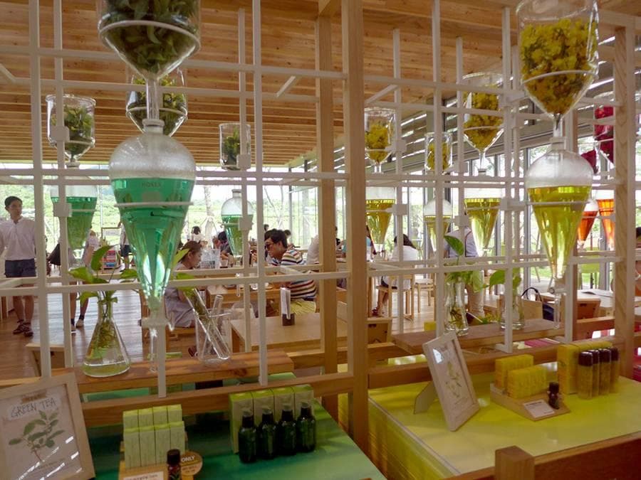 Innisfree Jeju House 이니스프리 제주하우스