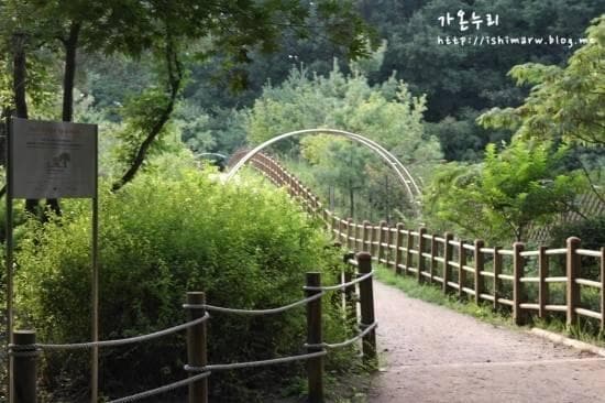 Shinhwa Forest1 신화숲 1호