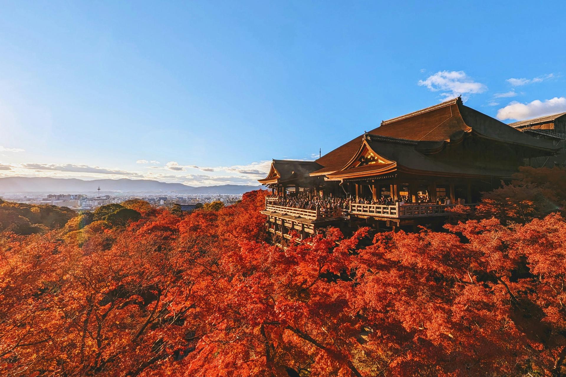 Discover Japan's Fall Beauty: Top 2026 Autumn Foliage Tours