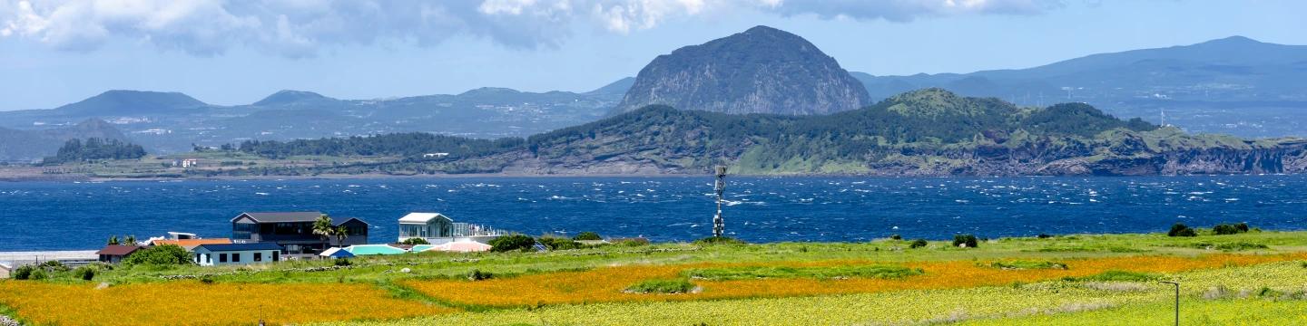 Top Things to Do in Jeju Island