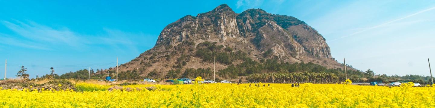 Top Things to Do in Southwestern Jeju Island