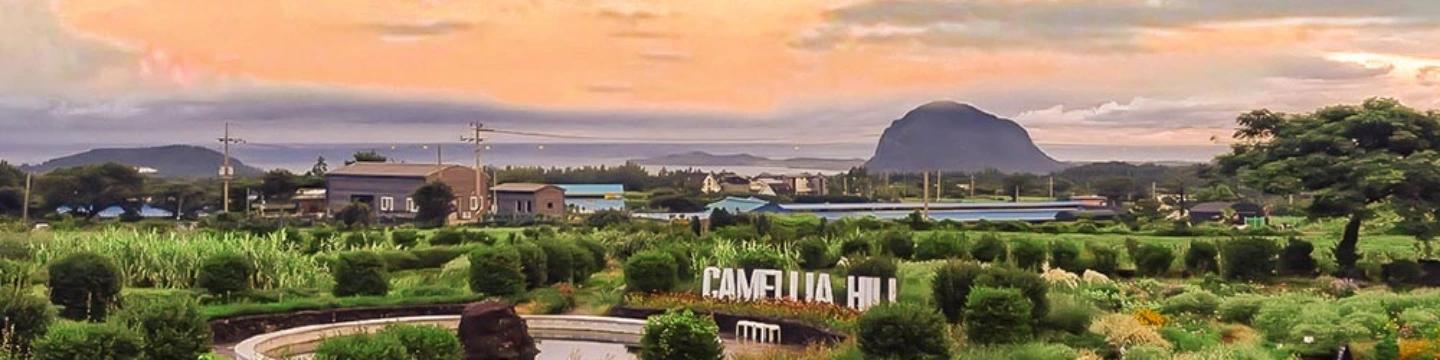 Top Things to Do in Western Jeju Island