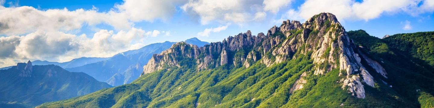 Escape to Nature: Seoraksan National Park Guided Tours
