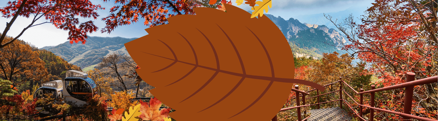 Fall into Korea's Autumn Foliage Tours