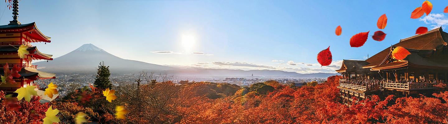 Japan Fall Tours & Activities
