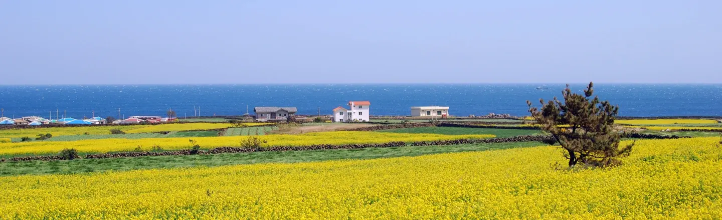 Book Travel Crazy Things to Do